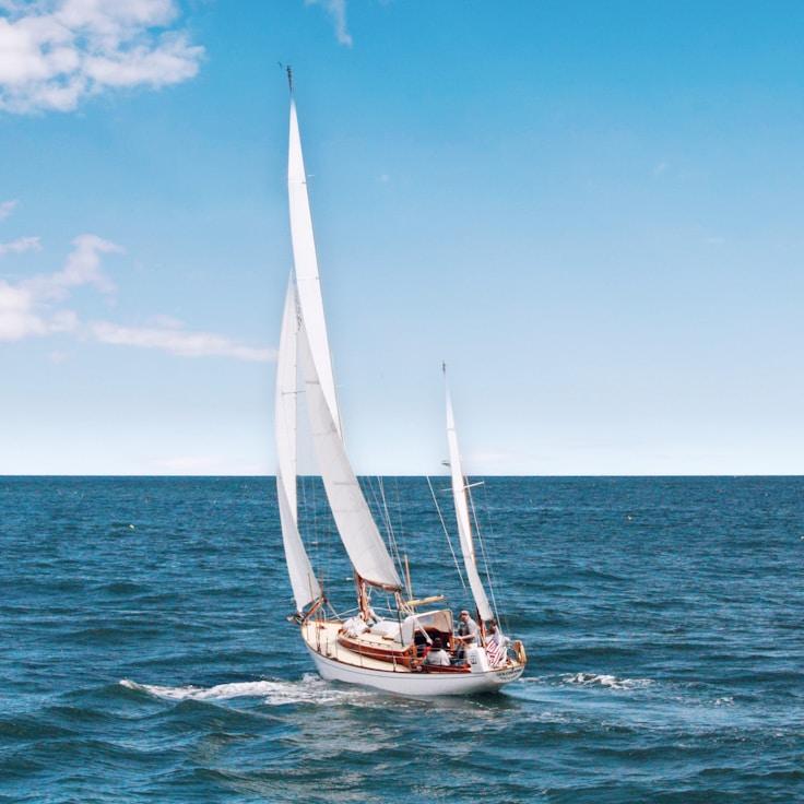 SteadyStewardship yacht fleet